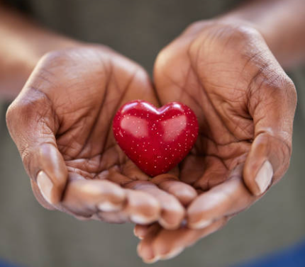 How SJTC Can Turn Your Group Trip Into a Fundraising Opportunity